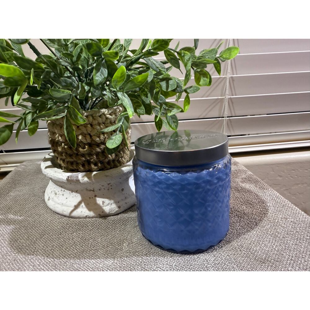 Gold Canyon Candles Med 16oz Lavender Chamomile Highly Scented Candle HTF